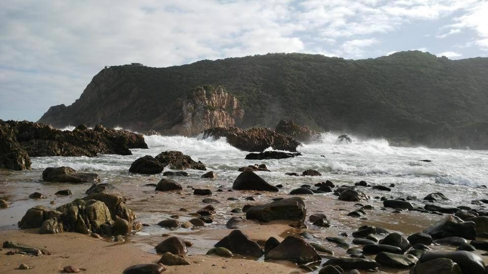 South Villa Guesthouse&Garden Knysna Exterior photo